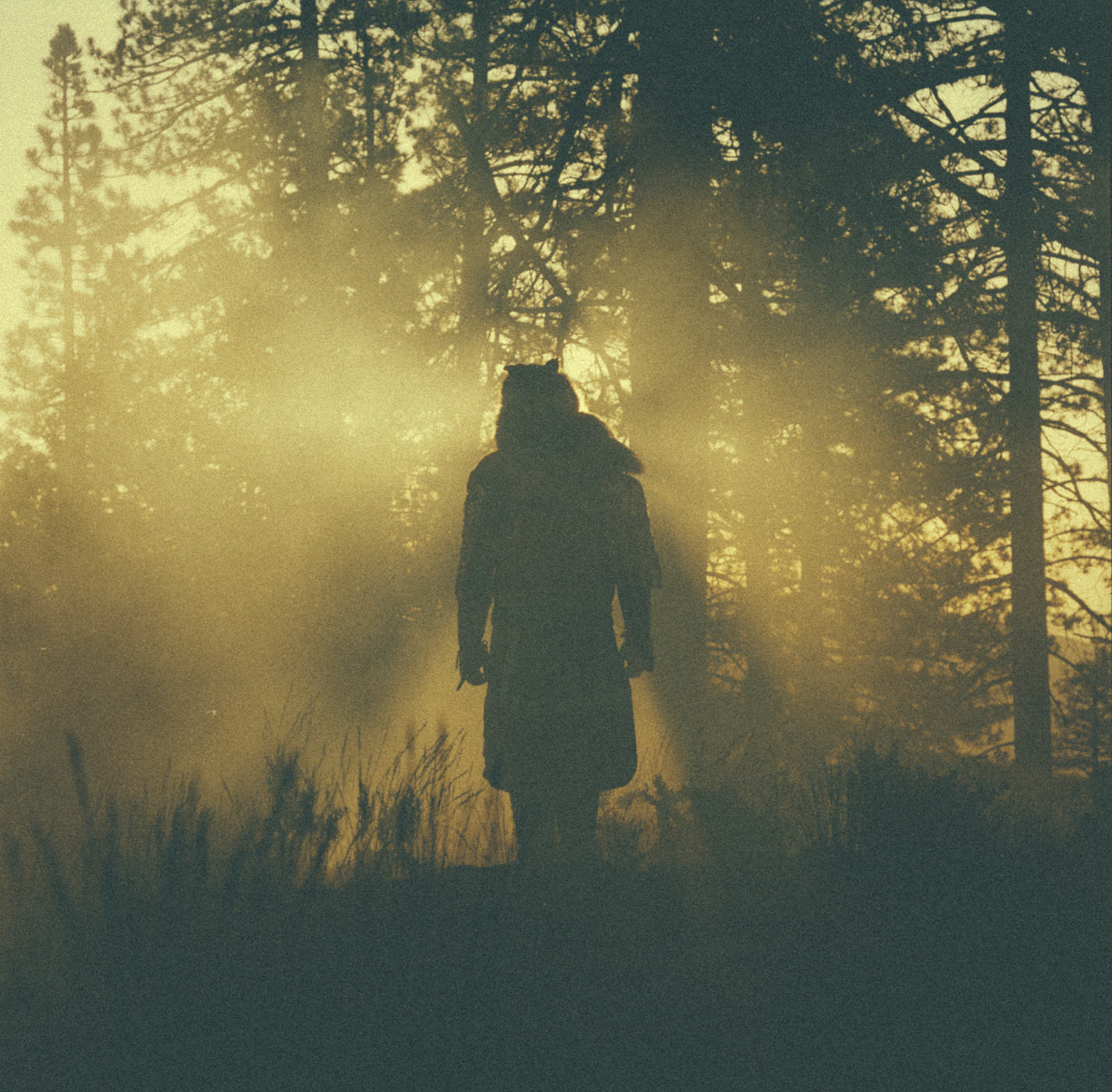 Them changes. Лес. Thundercat them changes. Thundercat - them changes album. Красный лес.